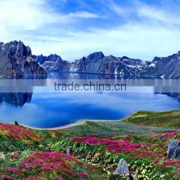 DS04 Famous Home Decoration Handmade Natural Scenery Art Painting