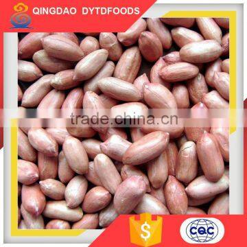 Small MOQ Roasted Peanuts Price