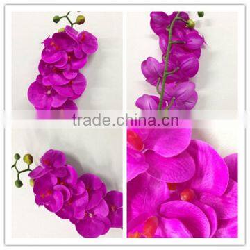 Floral Wedding Flowers Preserved Flower Phalaenopsis
