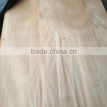 Rotary Cut Rengas Wood Veneer for Plywood Panel