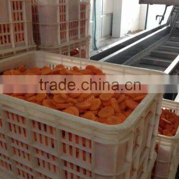 Various Shape Frozen Fresh IQF Carrots for Export photo-4