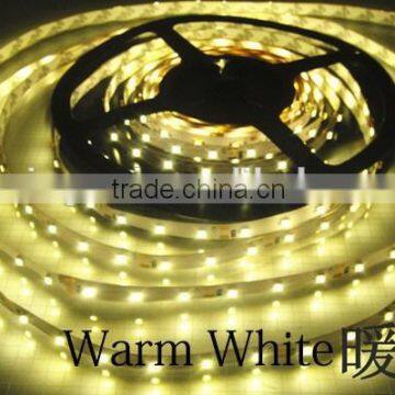 LED Strip 3528 Single Color 12V Led Strips photo-5