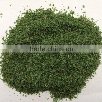 Grade A Chinese Parsley