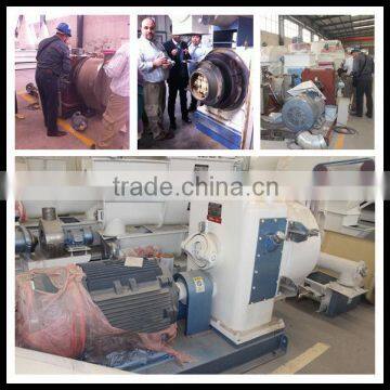 1500kg/h Capacity Ring Die Pet Pelletizing Granulating Machine