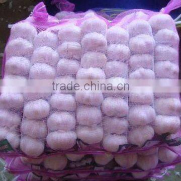 5.5cm mesh bags packing fresh garlic