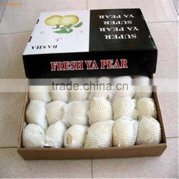 Healthy Ya Pear From China