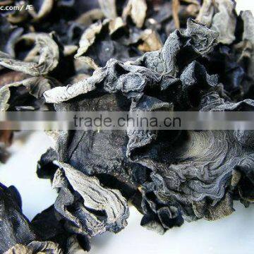 Dried well qualilty Black Fungus (Auricularia Auricula)