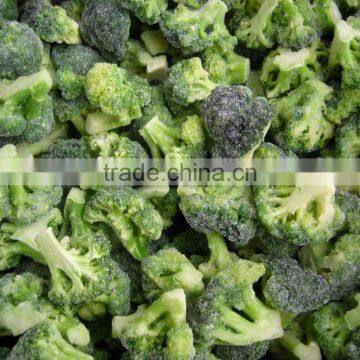 Frozen Broccoli With Best Price, Frozen Vegetable photo-2
