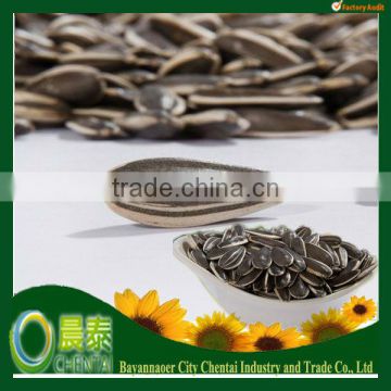 High Quality Cheap Price Large Size Sunflower Seeds