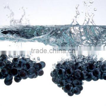 Bulk Cold Pressed Extra Virgin Grape Seed Oil