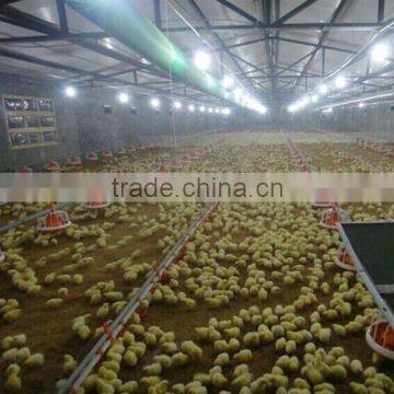automatic plastic durable Made in China cheap broiler feeding system