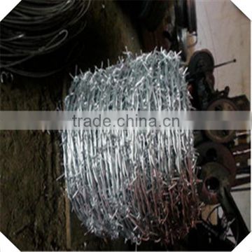 galvanized barbed wire for sale / galvanized barbed wire fence factory