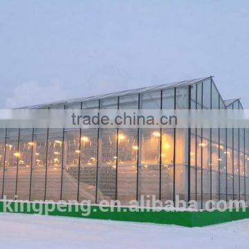 Cold area glass greenhouse