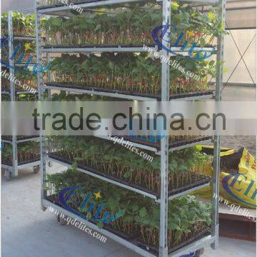 17 Display Flower Trolley, Flower Trolley Cart CC for Netherlands, Transport Trolley photo-2