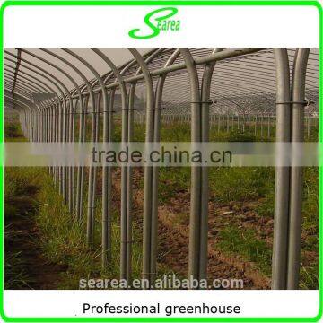 Easy Assembled Commercial Agricultural Tunnel Greenhouse photo-4