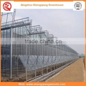 China Supplier Multi-span Glass 6.4m Agriculture Galvanized Steel Frame Greenhouses for Hot Sale photo-6