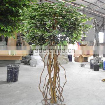 Factory Make Different Types of Plants Cheap Artificial Trees Banyan Tree Bonsai photo-2