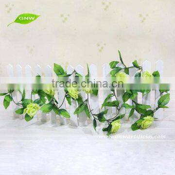 GNW FLV09 Indian Rose Flower Use for Balloon Flower Root Extract or Other Occasion photo-2