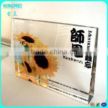 Square 4x6 Clear Freestanding Lucite Crystal Picture Frame photo-5