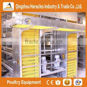 Hot Selling Asia Chicken Cage for Sale Automatic Chicken Layer Cage for Sale in Philippines photo-4
