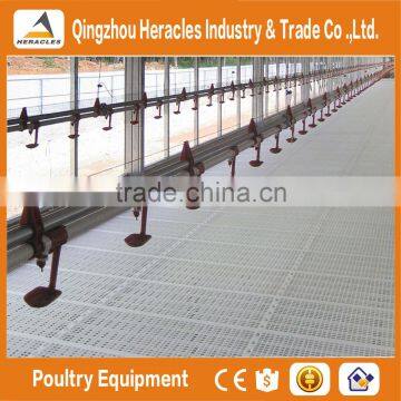 Trade Assurance Equipment Poultry Chicken Farming Materials--flooring Feeding and Drinking Equipment photo-6