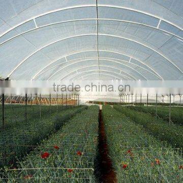 Economical Small Size Single Span Greenhouse for Agriculture photo-2