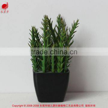 Artificial Wholesale Potted Succulent Plants Smalll Plants Mini Succulent photo-2