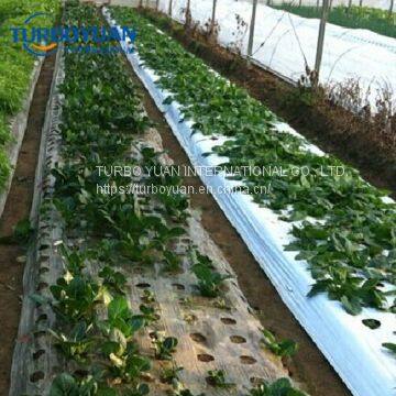 Black and White Agricultural Mulching Plastic Film for Strawberry photo-5
