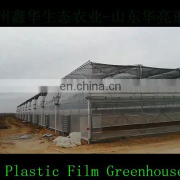 Cheap Wholesale Plastic film Greenhouse/Protective Plastic film