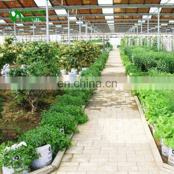 2019 Popular Multi Span Agriculture Sightseeing Greenhouse