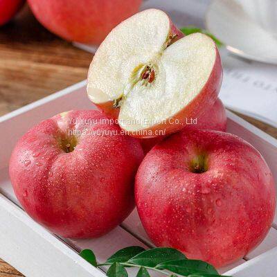 FRESH APPLES