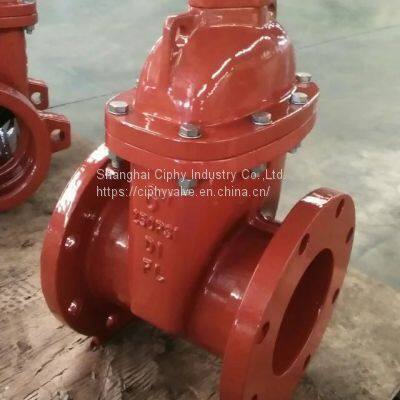AWWA C509 Non-Rising Stem Resilient Gate Valve (IGAWWA-NRSS) photo-2