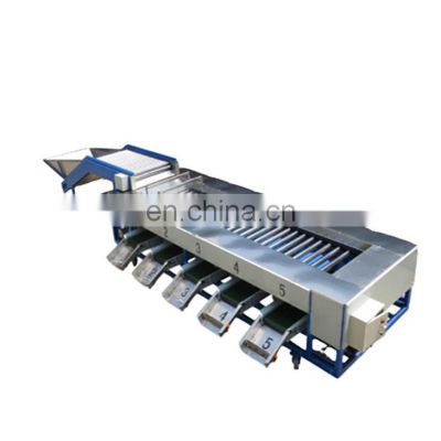 New offer prune sorting machine