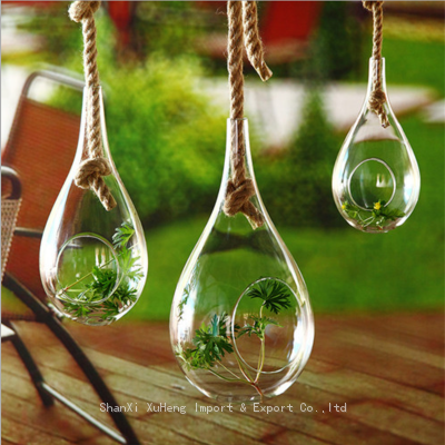 Terrarium Ball Globe Shape Clear Hanging Glass Vase Flower Plants Container Landscape DIY Wedding Home Decoration photo-2