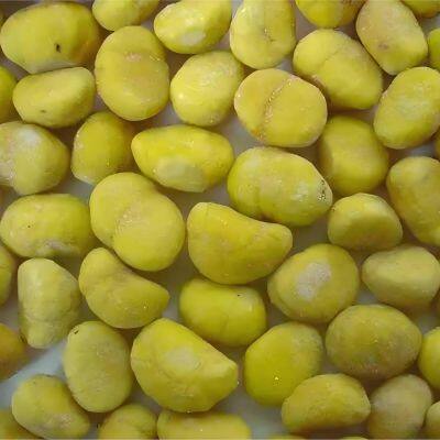 SinoValley Hot Selling Peeled Bulk IQF Frozen Taishan Chestnut China Supplier Price Ecological Planting Organic Certification EU/Japan