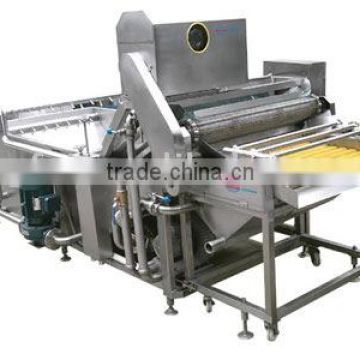 Vegetable and Fruit processing equipment XF-QX