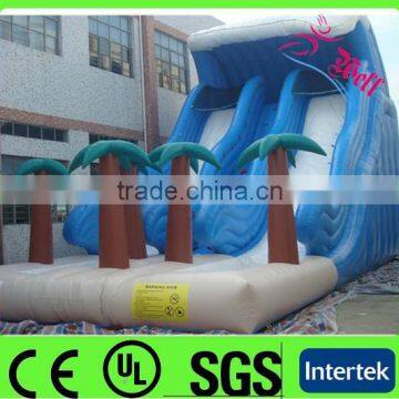 2016 newest giant inflatable water slide with pool for sale