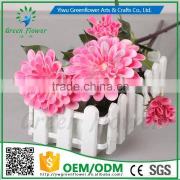 Greenflower 2016 Barberton Daisy Real Touch Two Herbaceous Peony Wedding Decrations Flowers photo-3