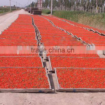 Favorable price of Ningxia dried goji berry