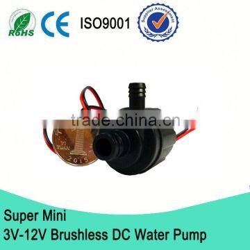 Low Voltage Mini DC Water Pump / Mini Hand Water Pump                        
                                                Quality Choice