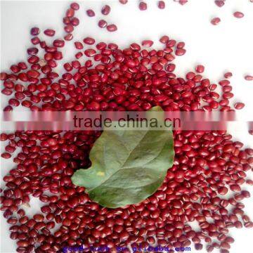 Chinese adzuki beans supplier (2015 crop )                        
                                                Quality Choice