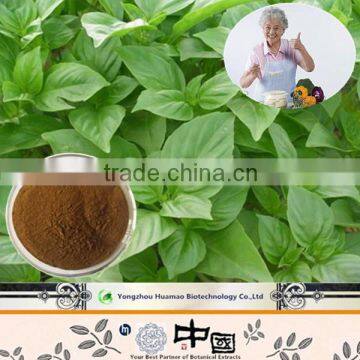 Alibaba China Supply Natural Organic Basil Extract 10:1