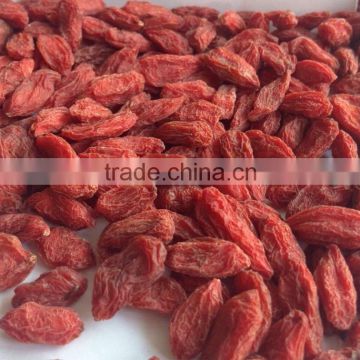 Fresh Goji Berries