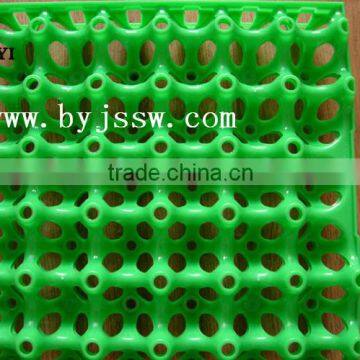 Good Quality Plastic Egg Carton / Tray With Factory Price