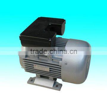 YL90L6 single phase two value capacitor asynchronous AC motor