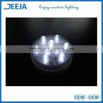 White LED Submersible Light