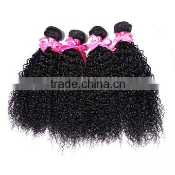 Brazilian Human Virgin Kinky Hairpiece Manufacturer Curly Wave Wholesale photo-5