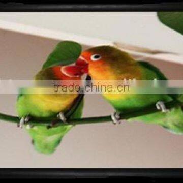 4:3 200" Fixed Frame projection screen / projector screen / fixed screen