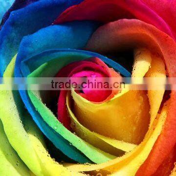 Wholesale Wall Decorative 3D Full Size Flower Wallpaper Rose Mural For Wedding Home Decor