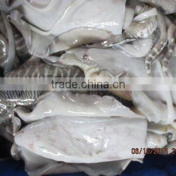 CUTTLE FISH WHOLE